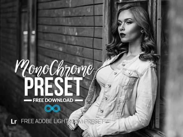 Free Monochrome Preset