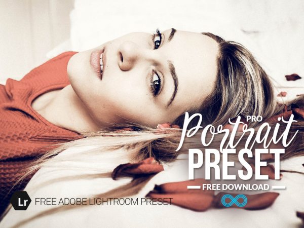 Free Professional Portrait Lightroom Preset