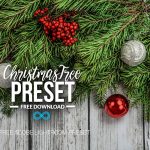 Free Christmas Tree Lightroom Preset