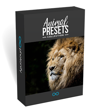 Animal Presets Box