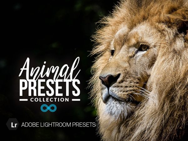 Animal & Wildlife Lightroom Presets