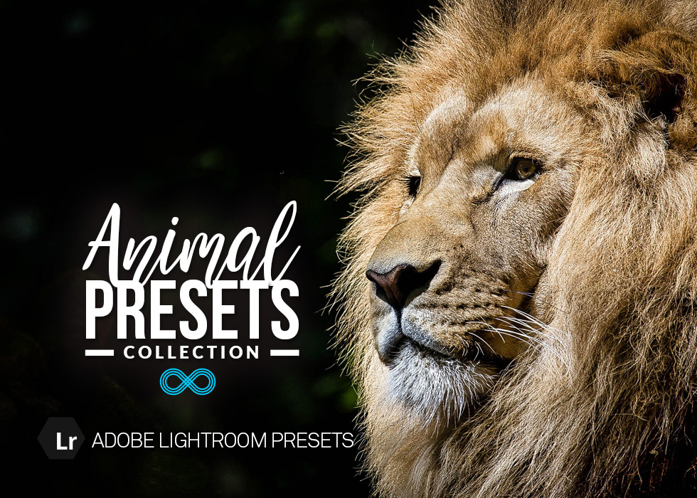 Animal & Wildlife Lightroom Presets