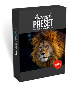 Animal Preset Box