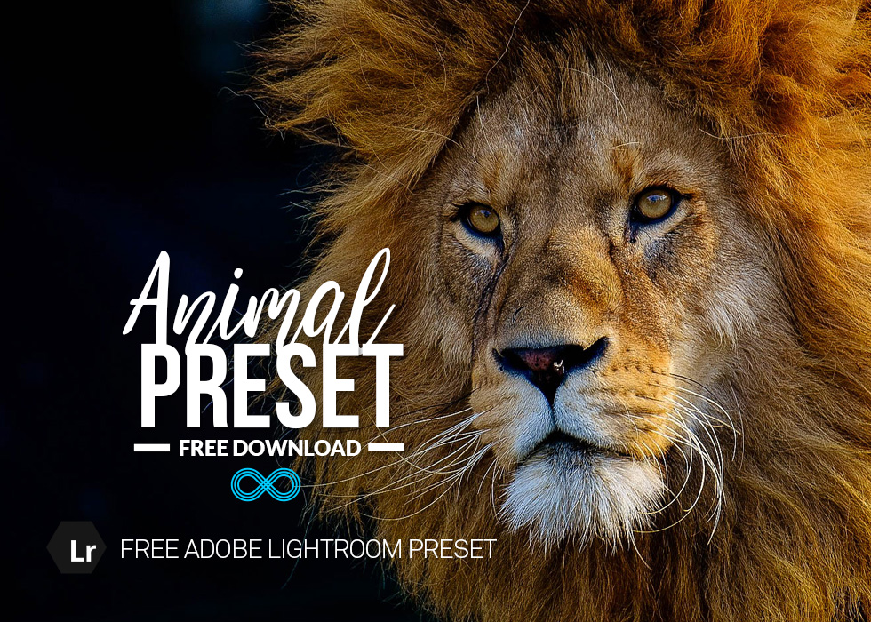 Free Animal Lightroom Preset