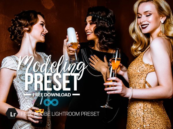 Free Modeling Lightroom Preset
