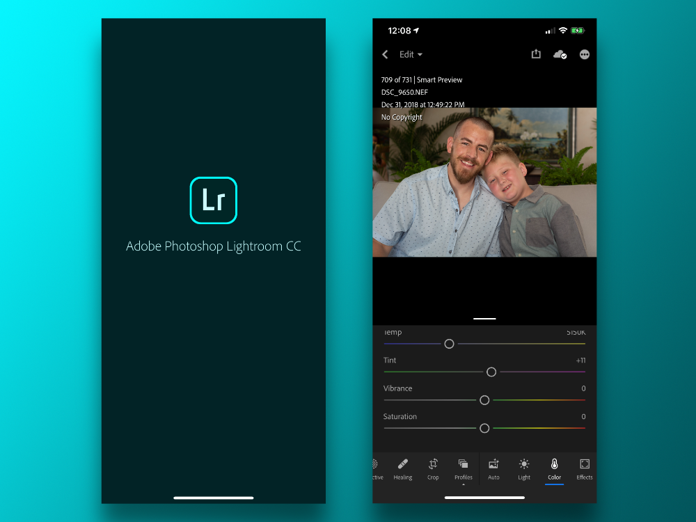 import presets on lightroom mobile