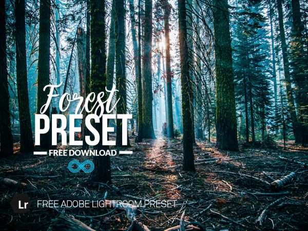 Free Forest Lightroom Preset
