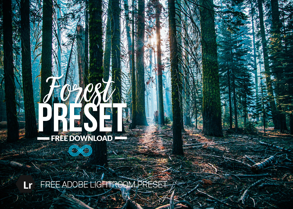 Free Forest Lightroom Preset