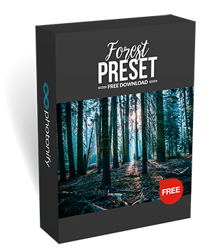 Forest Preset Box